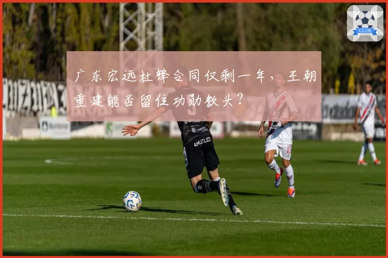 广东宏远杜锋合同仅剩一年,王朝重建能否留住功勋教头?