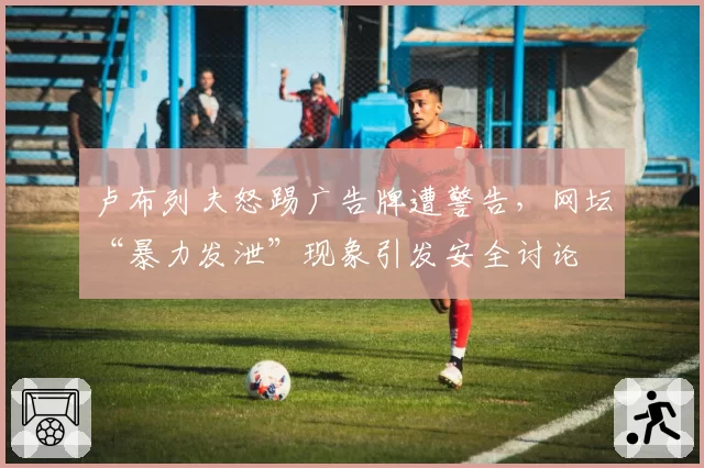 卢布列夫怒踢广告牌遭警告，网坛“暴力发泄”现象引发安全讨论