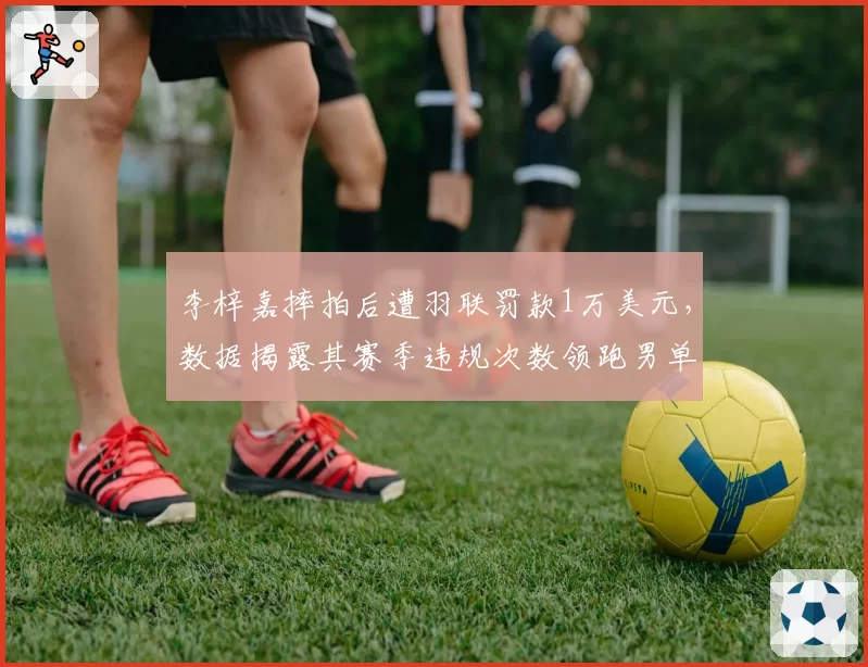 李梓嘉摔拍后遭羽联罚款1万美元，数据揭露其赛季违规次数领跑男单