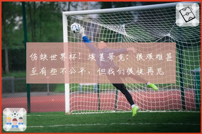 伤缺世界杯！埃基蒂克：很艰难甚至有些不公平，但我们很快再见